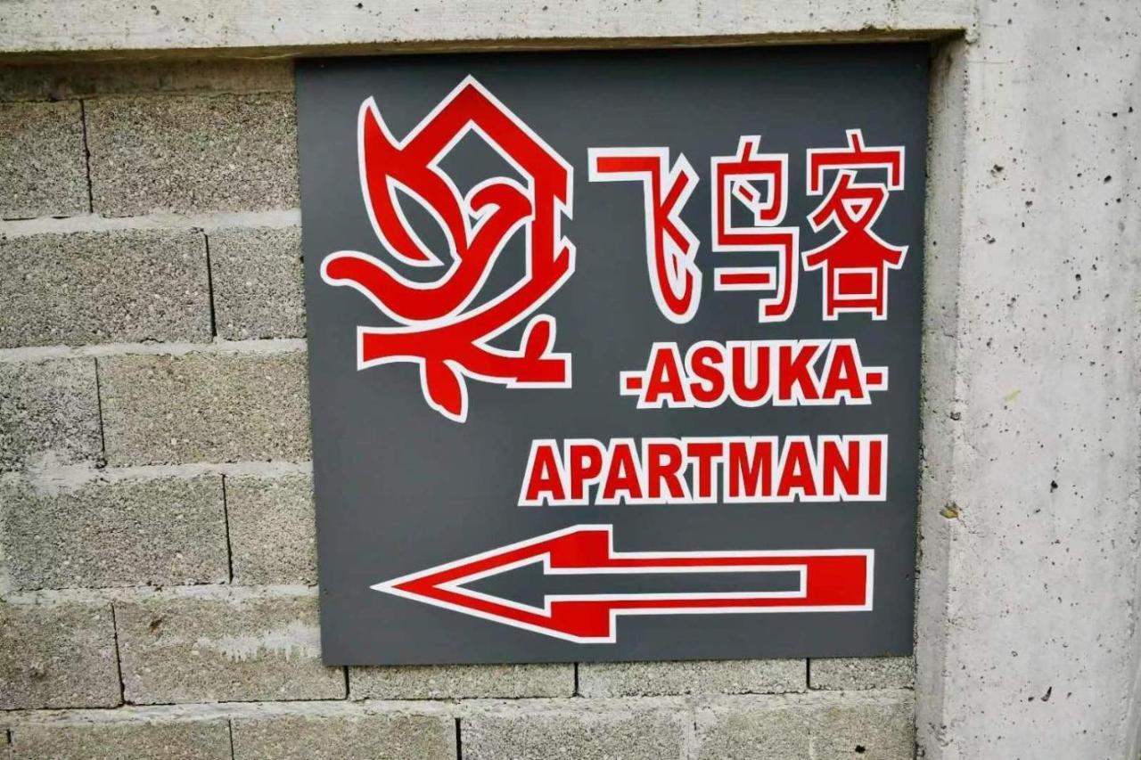 Asuka Apartmani 飞鸟客 Surčin Eksteriør billede